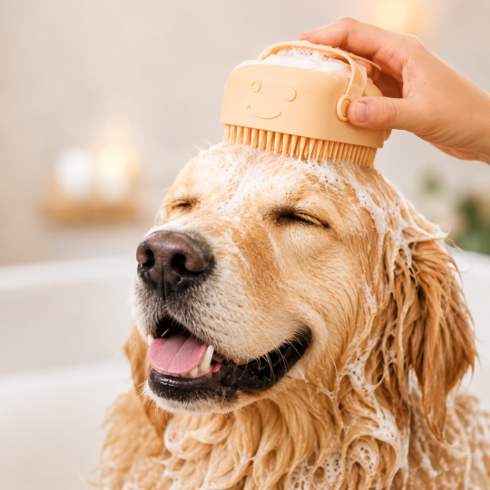 fellruhe™ silikon massagebürste