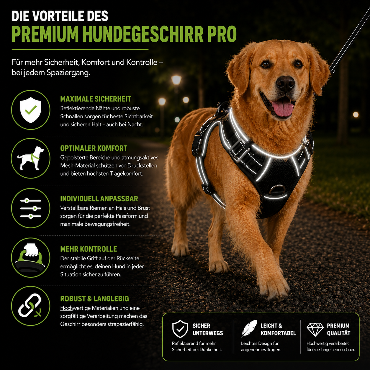 Hund mit reflektierendem Hundegeschirr beim Spaziergang