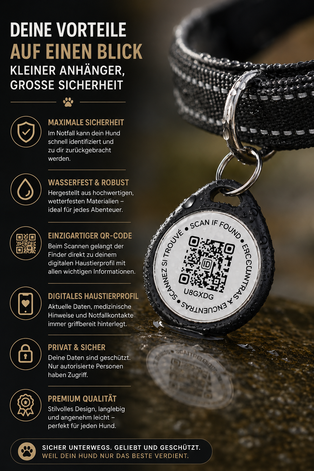 Robuste QR Hundemarke für Hunde